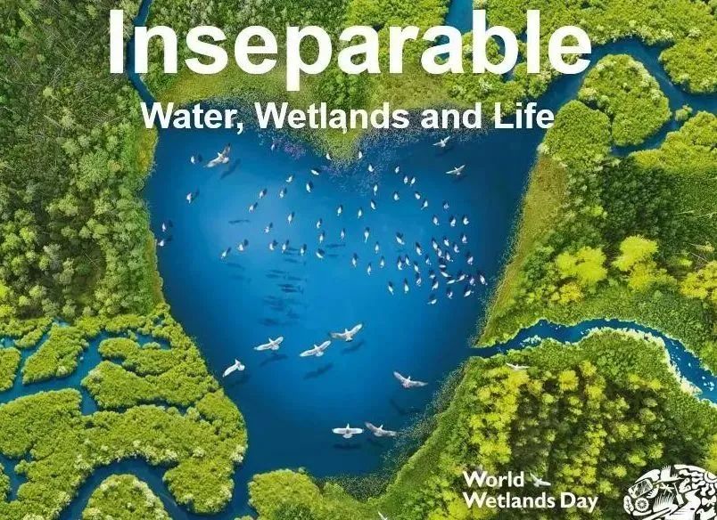 2.2世界湿地日|圣湖为保护环境提供监测设备